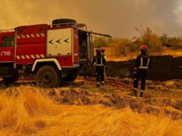 Móstoles vuelve a ser afectada por los incendios en la región: humo en suspensión, cielo rojo y olor a quemado Móstoles vuelve a ser afectada por los incendios en la región: humo en suspensión, cielo rojo y olor a quemado