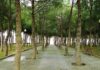 Móstoles reta a los más pequeños con una misión secreta y dos yincanas en Parque Liana