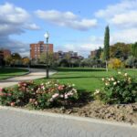 Qué hacer gratis este fin de semana en Móstoles: The Buyakers, Alicia en el País de las Maravillas y más