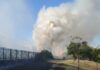 Un incendio en la C-5 corta la circulación de trenes durante una hora: así afectó a los vecinos de Móstoles