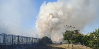 Un incendio en la C-5 corta la circulación de trenes durante una hora: así afectó a los vecinos de Móstoles Un incendio en la C-5 corta la circulación de trenes durante una hora: así afectó a los vecinos de Móstoles