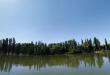 Móstoles tendrá un nuevo puente en el Parque Natural del Soto: aprobada su construcción por 373.131 euros Móstoles tendrá un nuevo puente en el Parque Natural del Soto: aprobada su construcción por 373.131 euros