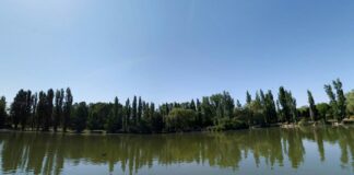 Móstoles tendrá un nuevo puente en el Parque Natural del Soto: aprobada su construcción por 373.131 euros Móstoles tendrá un nuevo puente en el Parque Natural del Soto: aprobada su construcción por 373.131 euros