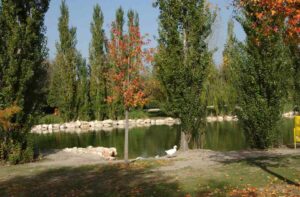 Móstoles tendrá un nuevo puente en el Parque Natural del Soto: aprobada su construcción por 373.131 euros