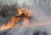 ¿Quién anda ahí? Móstoles. El fuego ¿Quién anda ahí? Móstoles. El fuego