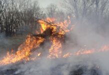 ¿Quién anda ahí? Móstoles. El fuego