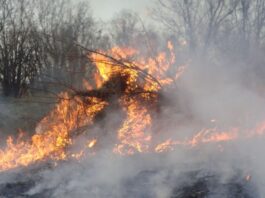 ¿Quién anda ahí? Móstoles. El fuego