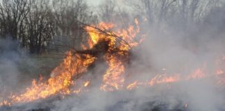 ¿Quién anda ahí? Móstoles. El fuego ¿Quién anda ahí? Móstoles. El fuego