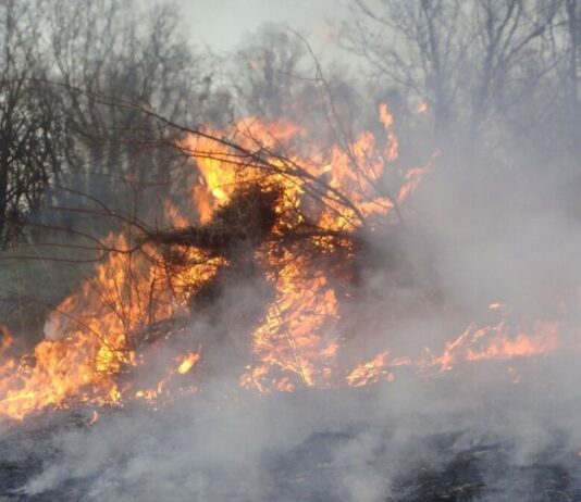 ¿Quién anda ahí? Móstoles. El fuego ¿Quién anda ahí? Móstoles. El fuego