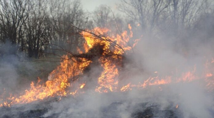 ¿Quién anda ahí? Móstoles. El fuego