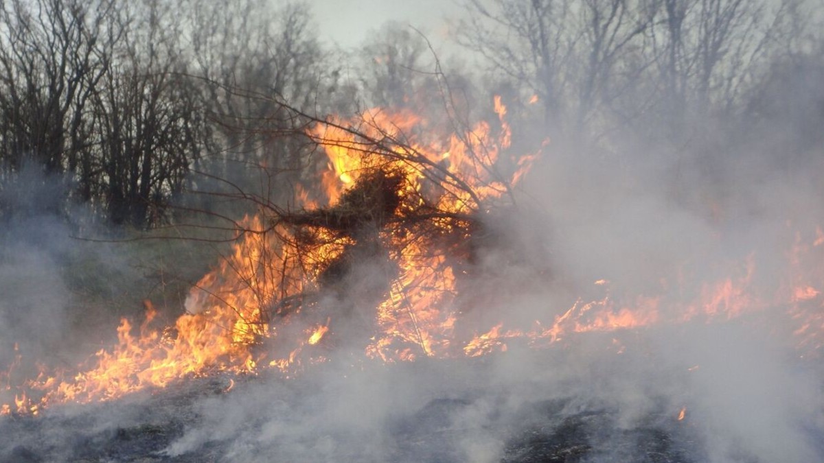 ¿Quién anda ahí? Móstoles. El fuego