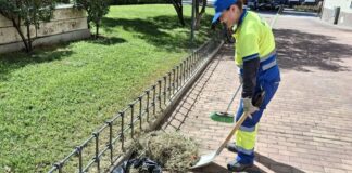 Móstoles refuerza la limpieza y el cuidado de sus parques y zonas verdes Móstoles refuerza la limpieza y el cuidado de sus parques y zonas verdes