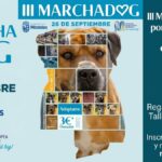 Plan con mascotas en Móstoles: vuelve la Marcha Dog con su III edición este mes de septiembre