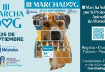 Plan con mascotas en Móstoles: vuelve la Marcha Dog con su III edición este mes de septiembre