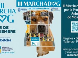 Plan con mascotas en Móstoles: vuelve la Marcha Dog con su III edición este mes de septiembre