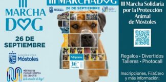 Plan con mascotas en Móstoles: vuelve la Marcha Dog con su III edición este mes de septiembre