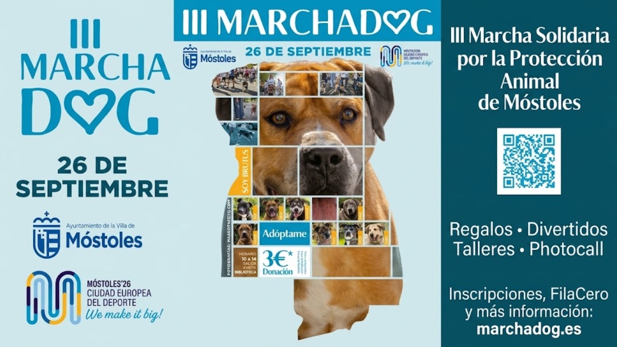 Plan con mascotas en Móstoles: vuelve la Marcha Dog con su III edición este mes de septiembre Plan con mascotas en Móstoles: vuelve la Marcha Dog con su III edición este mes de septiembre
