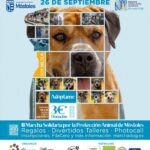 Plan con mascotas en Móstoles: vuelve la Marcha Dog con su III edición este mes de septiembre
