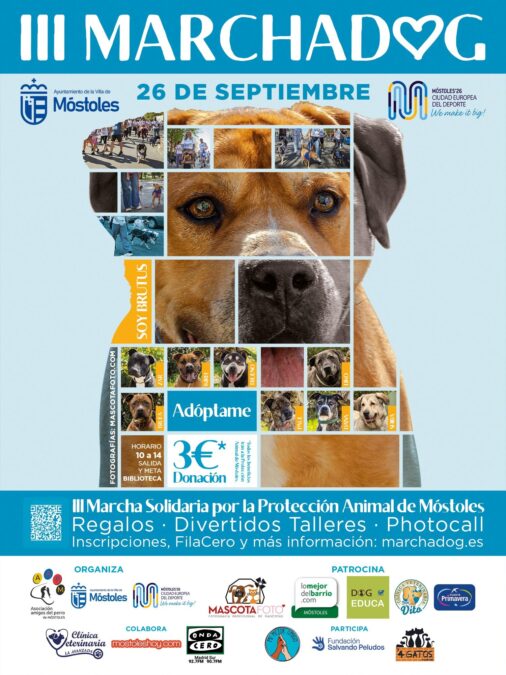 Plan con mascotas en Móstoles: vuelve la Marcha Dog con su III edición este mes de septiembre